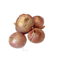 Cebolla