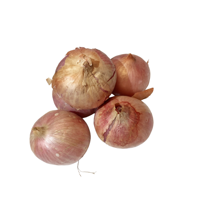 Ceba