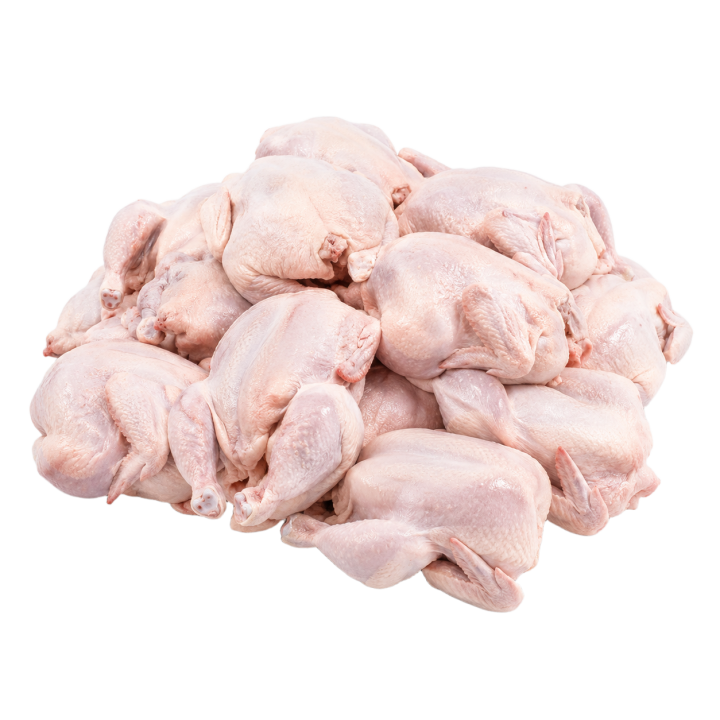 Pollo por mayor