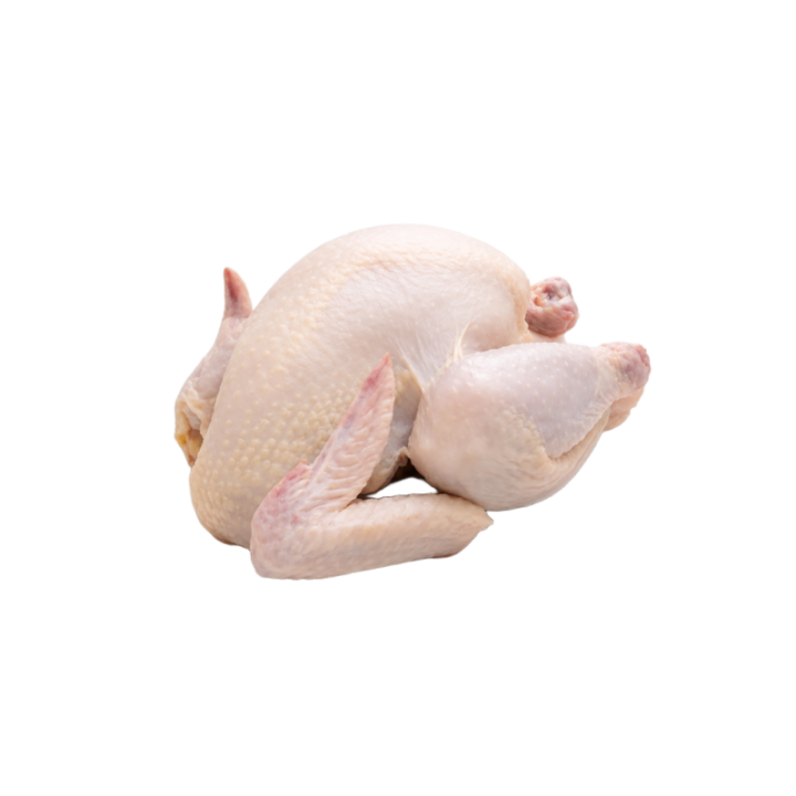 Gallina gordo