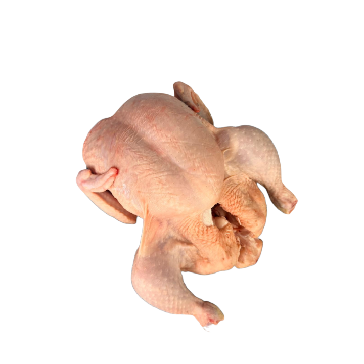 Gallina entero
