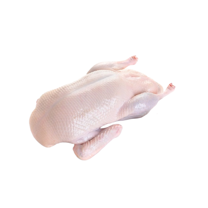 Pato fresco