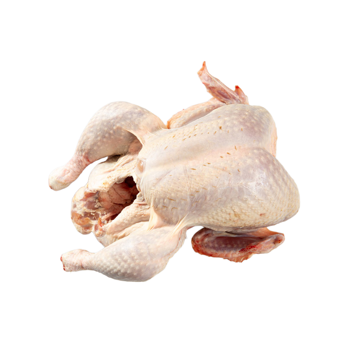 Pava navidad