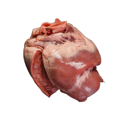 Corazon entero