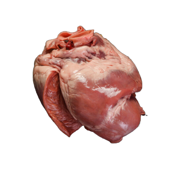 Corazon entero