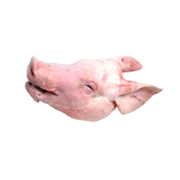 Cabeza de cerdo