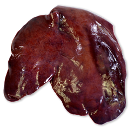 Higado de cerdo