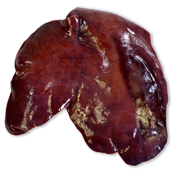 Higado de cerdo