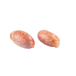 Huevo de ternera