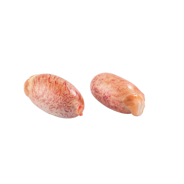Huevo de ternera