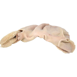 Tripa por 10kg