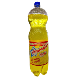 AMERICA kola 2l