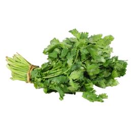 Cilantro bolsa