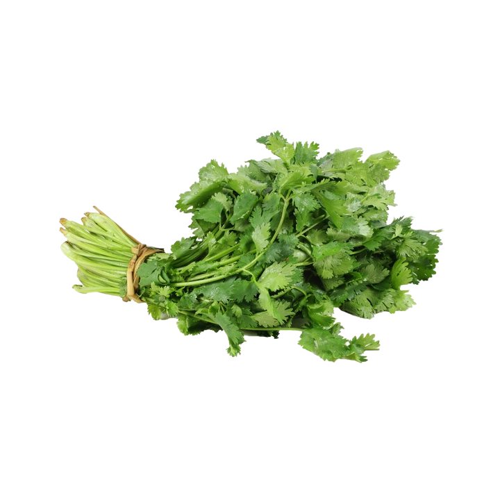 Cilantro bolsa