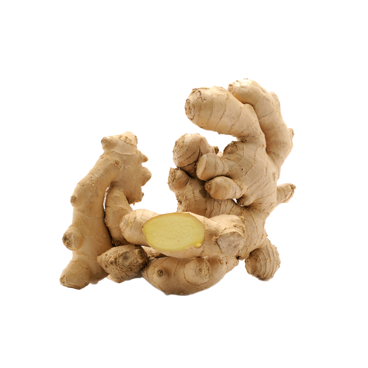 Jenjibre